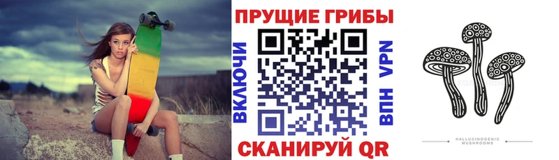 кракен как зайти  Сенгилей  Галлюциногенные грибы MAGIC MUSHROOMS 